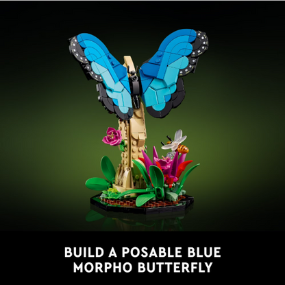 LEGO Ideas Insect Collection Display Set 21342