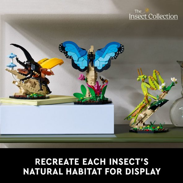 LEGO Ideas Insect Collection Display Set 21342