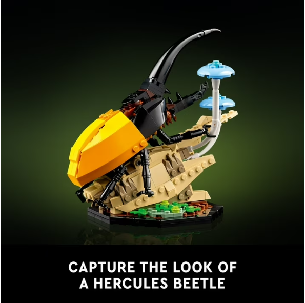 LEGO Ideas Insect Collection Display Set 21342