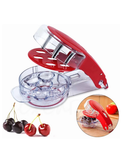Pitter Stone Cherry & Olive Pitter Seed Remover Tool